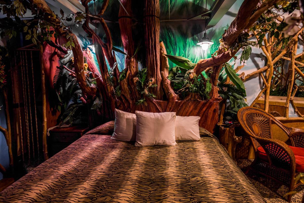 Feather Nest Inn (Adults Only) Cherry Hills Village Eksteriør billede